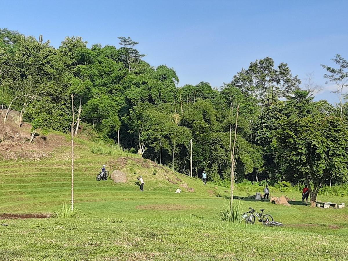 Seger Nusantara Albergue Kalisat Exterior foto
